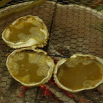 祇園 末友 - ☆お出汁を注ぐと蟹スープです☆