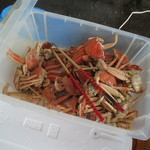 お食事処 若林 - 親がにがいっぱい♪