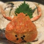 いたる - カニの甲羅をひっくり返してみました