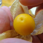 寿司栄 - 2015年11月