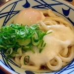 Marugame Seimen - とろたま（≧∇≦）