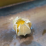 寿司栄 - 27年11月　ホオズキ