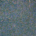 POSILLIPO cucina meridionale - ブルーの石が綺麗