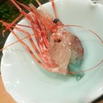 豊寿司 - ボタン海老