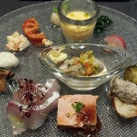オッジ ダルマット 西麻布店 - 