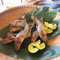 伊勢宮川の里 鄙茅 - 旬は過ぎていますが、鮎の塩焼き。