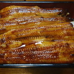 活鰻の店 つぐみ庵 - 鰻重