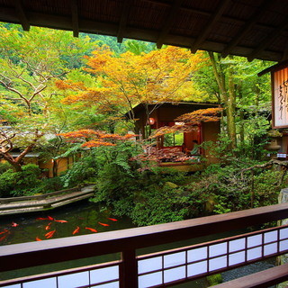 一邊眺望隨季節變化的庭園風景，一邊盡享味道濃郁的時令料理。