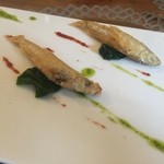 シクラメンテ - 