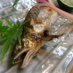 小魚料理 とみ助 - 鮎塩焼き（'10/7）