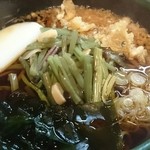 Shinano - 山菜そば2