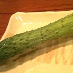 ヴィノテカ・クーヴーティーチー　ダ・サリーチェ - 半白胡瓜２