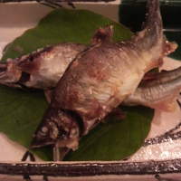 祇園おかだ - 鮎