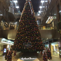 ビュッフェ＆カフェレストラン ナイト＆デイ - 