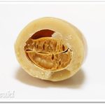 カルディコーヒーファーム - 