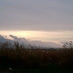 まるみそば店 - 