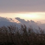 まるみそば店 - 