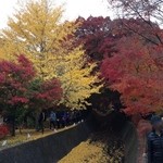 星のや富士 - 周遊バスを途中下車して、河口湖紅葉祭りに立ち寄りました