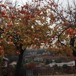 星のや富士 - 河口湖自然史生活館バス停から300m 「星のや富士」レセプション」に歩いて向かいます