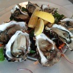 SAKURAGUMI - ANTIPASTO　坂越産生シェルオイスター