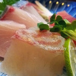 居酒屋 ながつき - 初日のお刺身