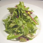 ル・ヴァンキャトル - ジビエ付け合わせのサラダ