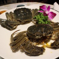 老香港酒家京都 - 