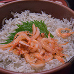 大森 茶々 - とん汁セットの桜海老しらす飯