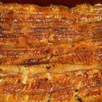 うなぎ割烹 大江戸 - 鰻アップ