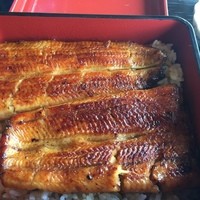 駒形前川 浅草本店 - うな重　５１４８円　２０１５年１１月