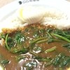 CURRY HOUSE CoCo ICHIBANYA - 料理写真:ホウレンソウカレー+うでたまご　&6.45