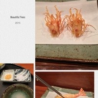 天冨良 よこ田 - 