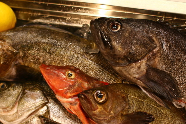 弦や - 喜多方（居酒屋）の写真