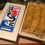 寿しの吉乃 - はだての生うに！これも最高級品ですね！築地から直送している