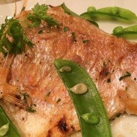 エチョラ - 蓮子鯛の・・・