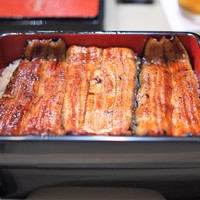 かぐら坂 志満金 - うな重　雅