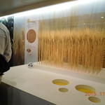 サントリー 天然水のビール工場 東京・武蔵野ブルワリー - 27年11月訪問