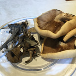 ウシマル - 自生の茸の数々