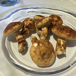 ウシマル - 自生の茸の数々