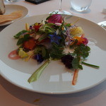 ミシェル・ブラス トーヤ ジャポン - 