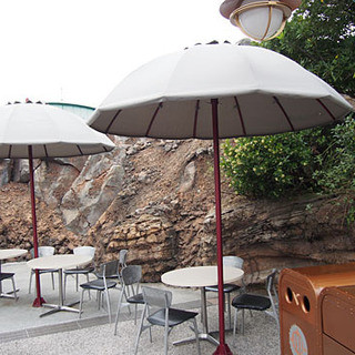 東京ディズニーシー 内でおすすめのグルメ情報をご紹介 食べログ