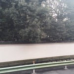 御料理 宮坂 - メイン写真: