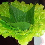 游玄亭 - サンチュ