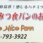 Nico Nico Pann - 