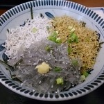 Kamakura Shin Souen - 朝どれ・湘南しらす三昧丼  アップ