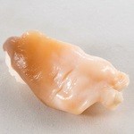 寿司 魚がし日本一 新橋駅前店