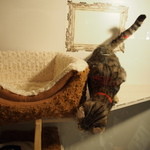 カフェ・シャトンルージュ - 御出勤です♪触れないですよ～♪