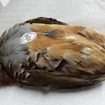 ポエシア - ぺルドロー