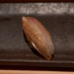 匠 進吾 - ［2015/11］