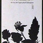 hippopotamus - アトゥラ・ブラン